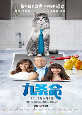 六度tv